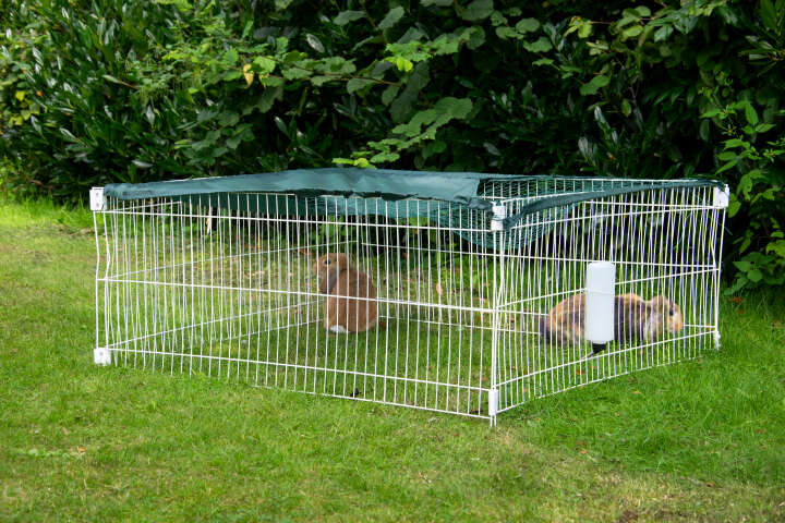dobar Freilaufgehege mit Häuschen
